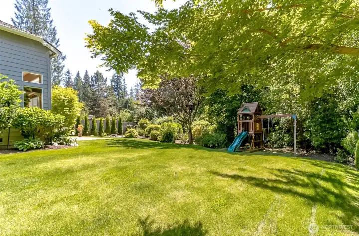 Gorgeous yard!