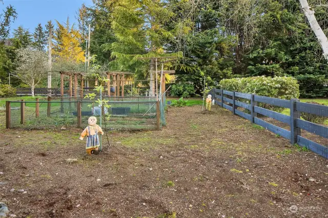 Enormous Garden space - veggies, flowers...