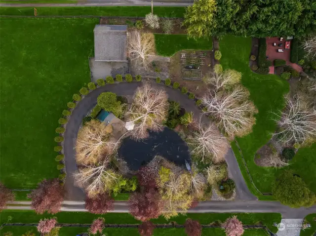 Bird's eye view over Koi pond/Playhouse with turnaround driveway~