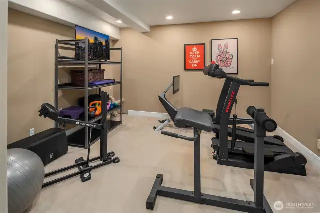 Home Gym/potential wine cellar