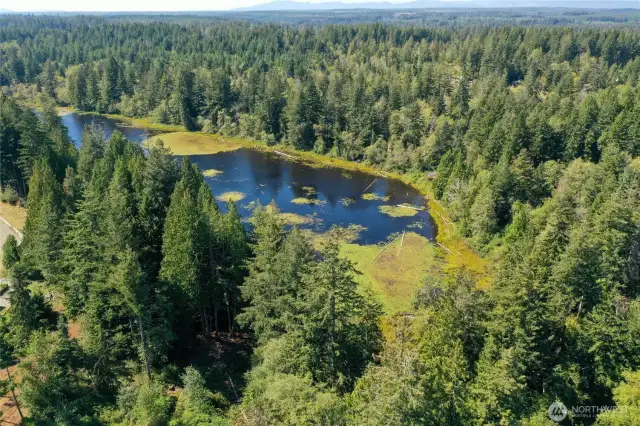 Large Pond the size of some lakes.