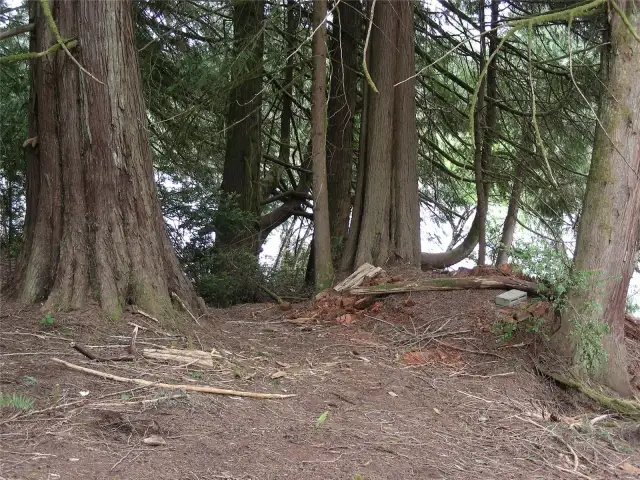 Nice little park area.