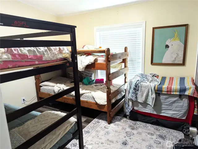 Bunks in bedroom