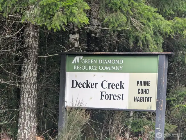 Forest accesses and public Satsop River launch
