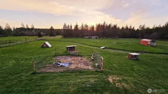 Chicken pens, Goat house and fenced critter yard. Two car port in field is great hay or equipment storage.