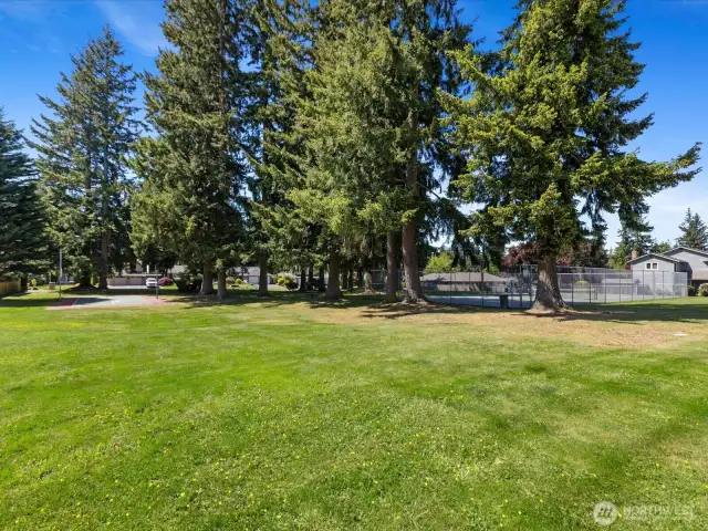 Autumn Meadows park with basketball and tennis court