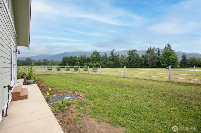 Fully fenced in back yard for your smaller furry friends!