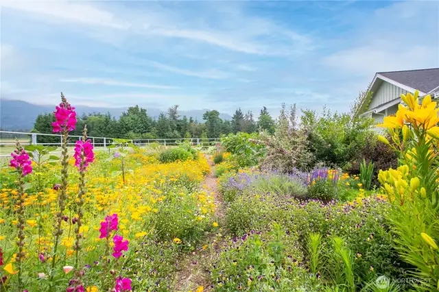 A gardeners delight!