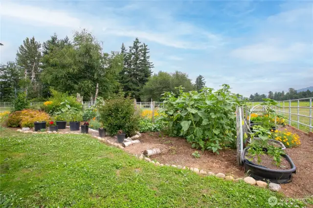 Enjoy the beauty and bounty of your own backyard with this well-established vegetable garden—a perfect space to grow fresh, homegrown produce right outside your door.