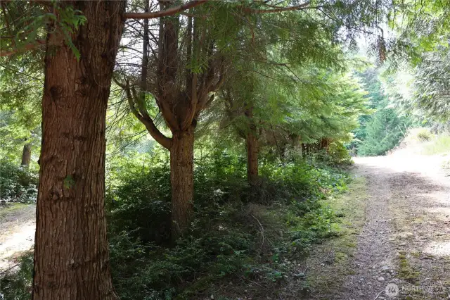 Trails and roads on the property