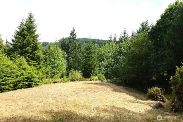 One of the clearings on the property