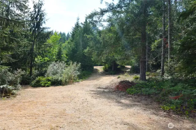 One of the clearings on property