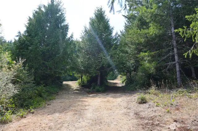 One of the cleared areas on the property