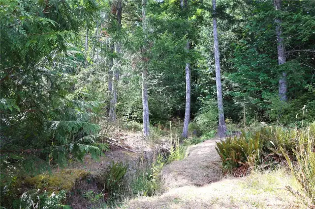 Seasonal stream on property