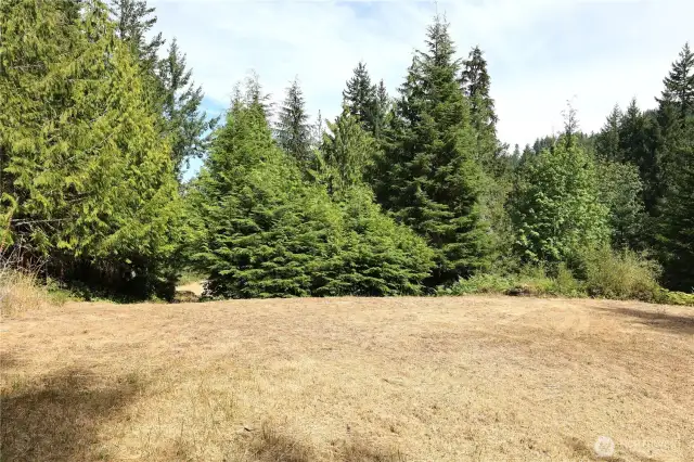 Another clearing on the property