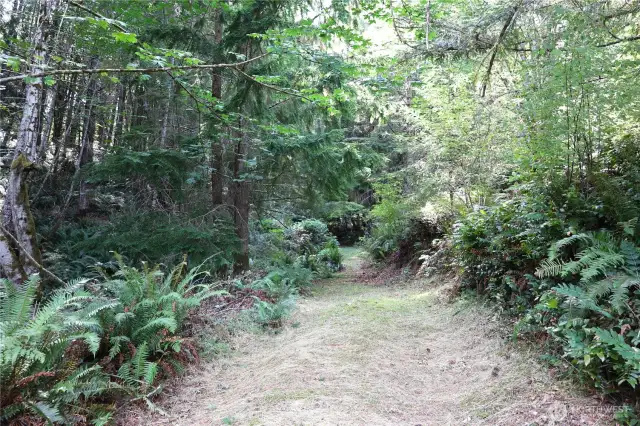 Cut trail on the property
