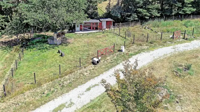 Your chicken coop & enclosure with overhead netting for predator protection.