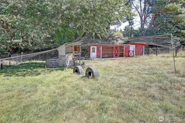 12 nesting boxes, auto water, perching bars, attached nursery w/ power for incubators.