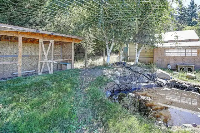 Duck & goose enclosure w/ pond.
