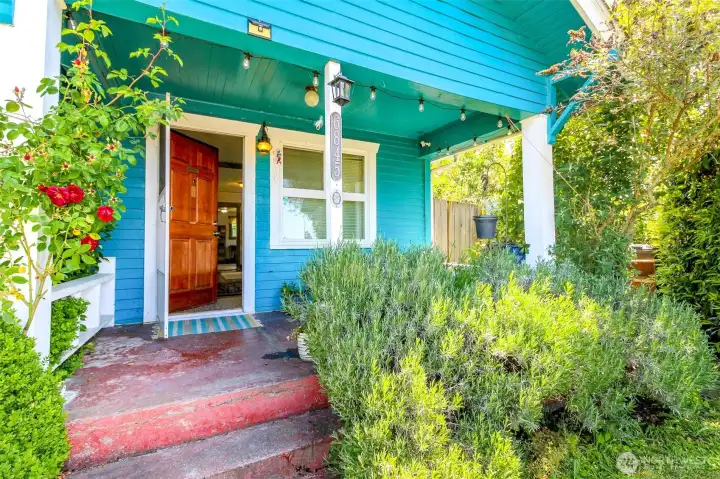 Camellia bush to the left with a rose bush and to the right is Rosemary