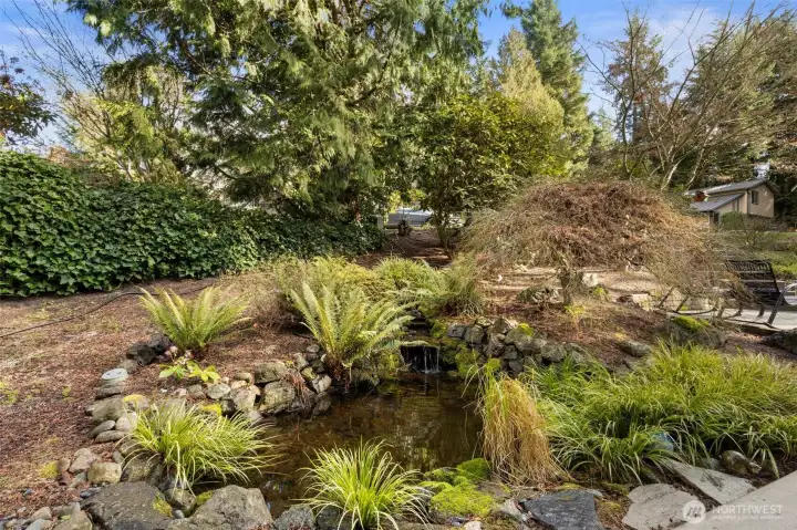 Your own pond...with fish!