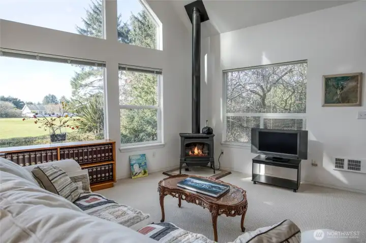 Cozy propane stove to keep warm in the winter!