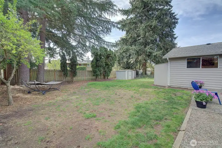 Southern exposure and sunny back yard.