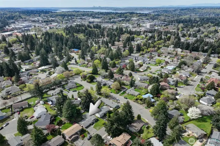 Short walk to Evergreen Hospital and the vibrant Totem Lake Village.