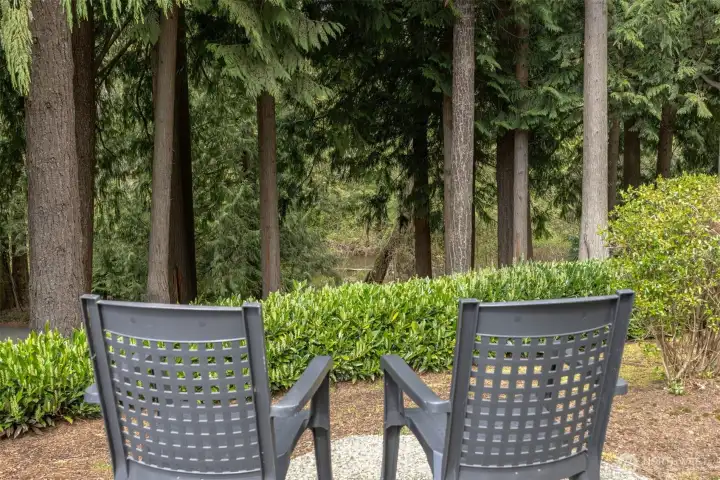 Overlooking the Creek