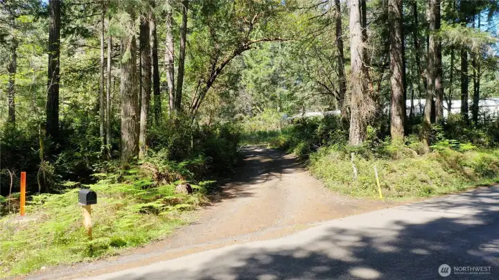 Current entrance