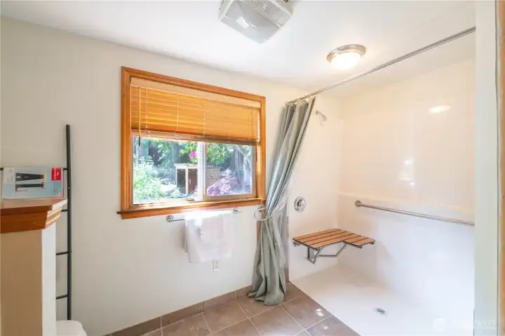 Lower Floor Bathroom
