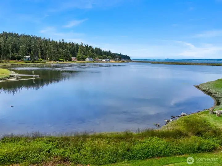 Race Lagoon is open to Saratoga Passage and offers year round kayaking and paddle boarding from your shoreline. Race Lagoon is open to Saratoga Passage and offers year round kayaking and paddle boarding from your shoreline.