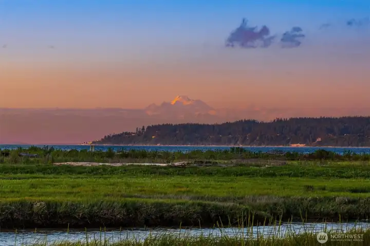 Mount Baker on the horizon, deep-water boats gliding by, and the peaceful hoot of owls at dusk, this is paradise. Mount Baker on the horizon, deep-water boats gliding by, and the peaceful hoot of owls at dusk, this is paradise.