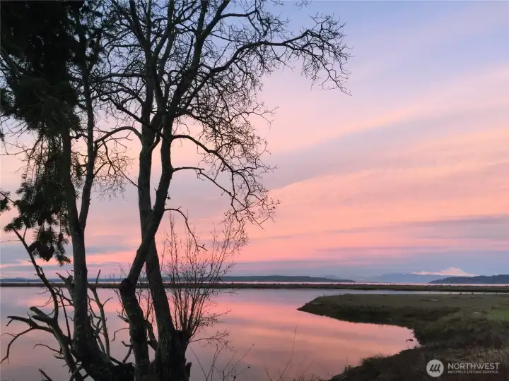 Enjoy the serenity of the calm lagoon, interrupted only by the breathtaking sight of a flock of Dunlin birds gliding across the water. Enjoy the serenity of the calm lagoon, interrupted only by the breathtaking sight of a flock of Dunlin birds gliding across the water.