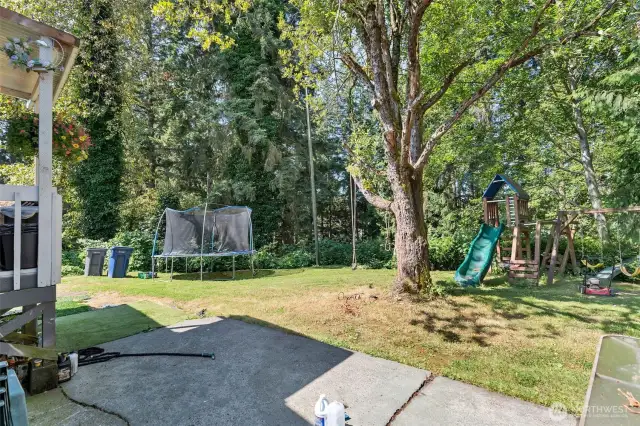 12620 Waltham Dr