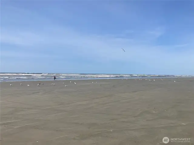Come and enjoy the Pacific Ocean.  Great for razor clam digging and beach combing.