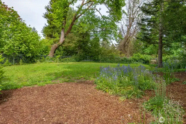Fully Fenced Backyard