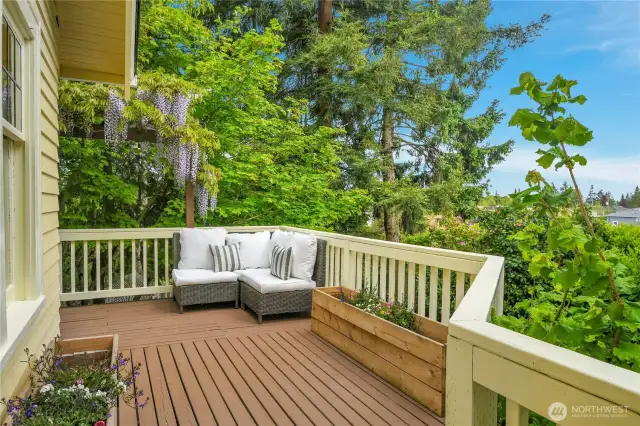 So much outdoor deck space.