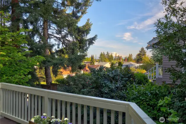 Outdoor views of Rainier to the south.