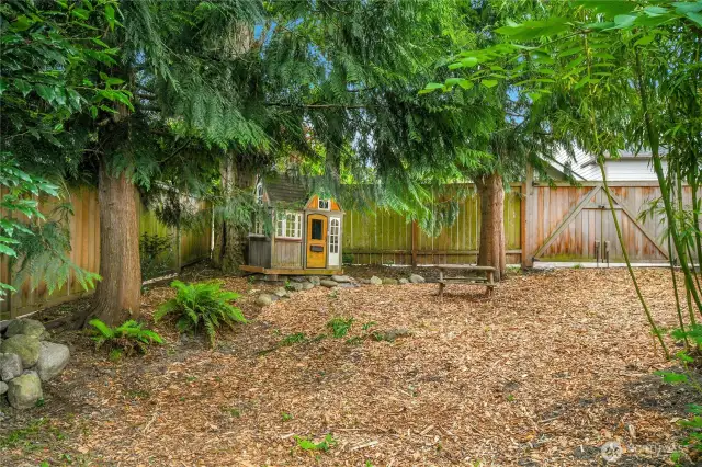 More yard space adjacent the alley. Note the gate, big enough to store an rv/boat, or what have you.