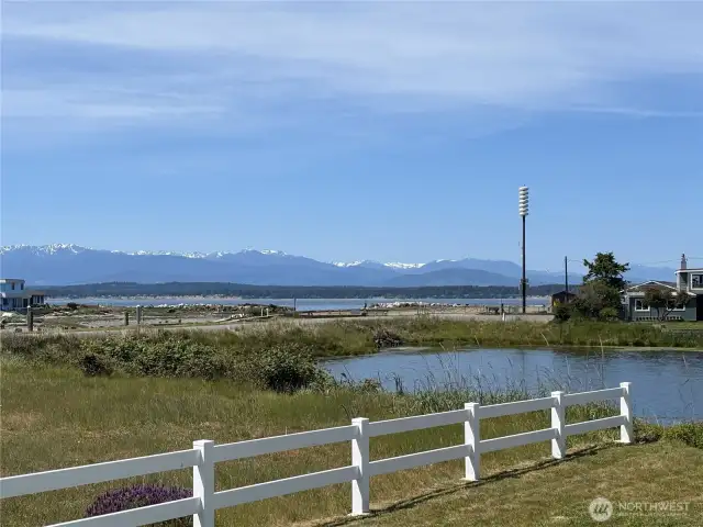 Views of the shipping lanes and Olympic Mts