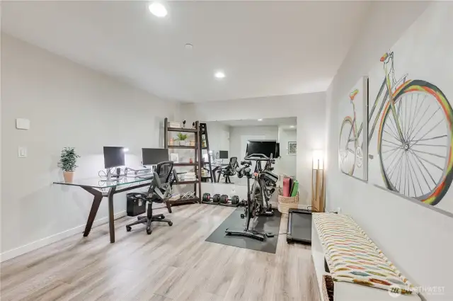 Lower Level Off of Garage - Bonus Space - Make it What You Want!