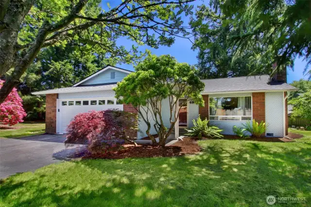 Gorgeous, extra-large lot is rich with huge trees, mature shrubs, open grassy areas and so much potential!