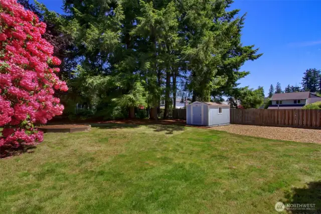 This tough-built shed has electricity, shelving and locking door. Do you see the low dark brown planting bed? It is waiting for your flowers! Already weeded and mulched, it's your pick! :)