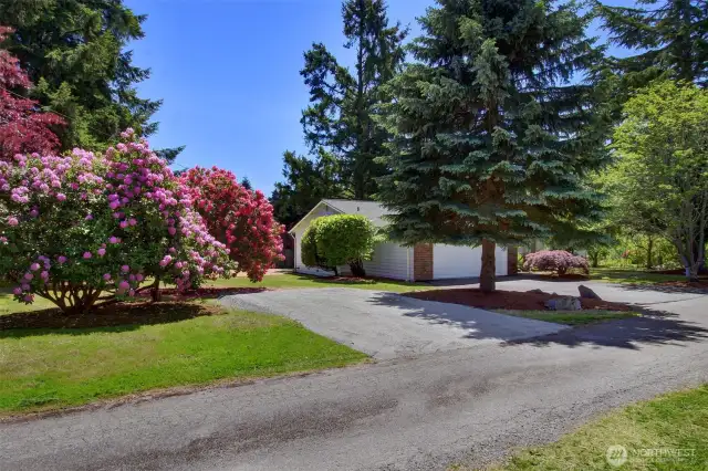 This is taken from the private road down to the house. The fresh gravel there is on your lot. It was created to be an RV pull-off, or just great place for extra cars or visitors.