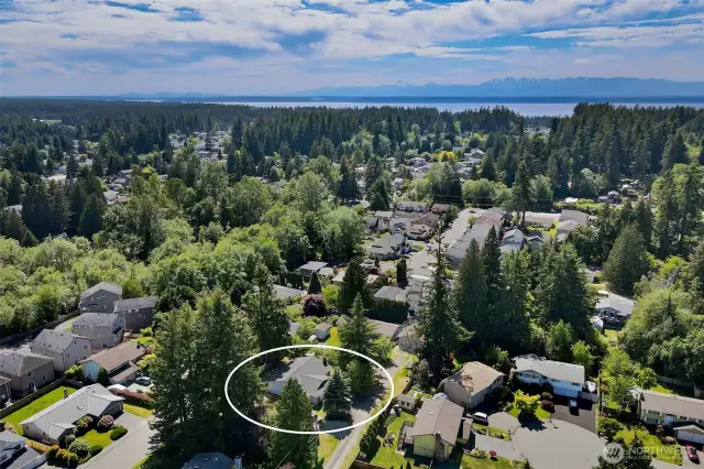 Beautiful Edmonds, the Puget Sound and the Olympic Mountains beyond...