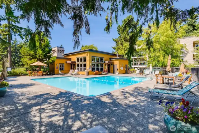 Relax by the pool