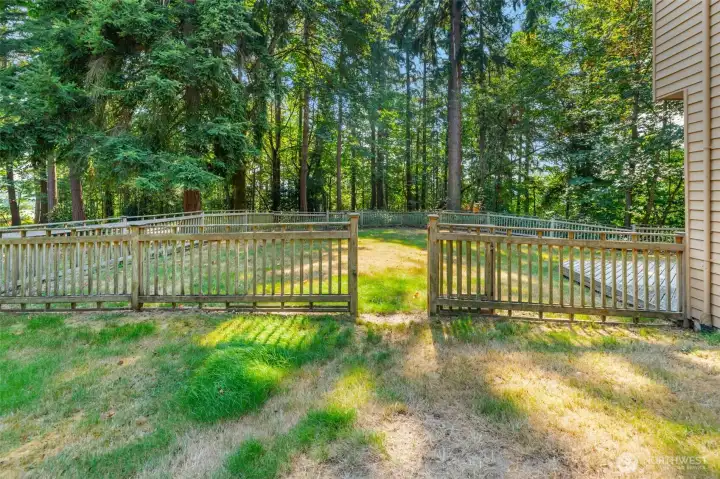 Large back yard