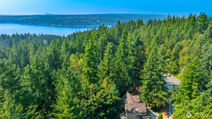 Lake Sammamish Park near by