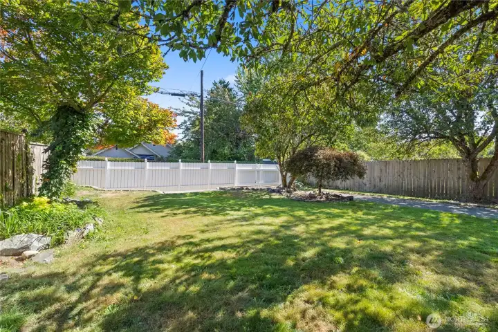 Massive Backyard with fruit trees.
